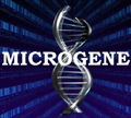 BIOLOŠKI CENTAR MICROGENE d.o.o. Sarajevo-Ilidža