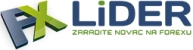Global Marketing Solutions FX Lider Beograd