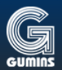 Gumins Novi Sad