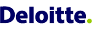 Deloitte & Touche Novi Sad