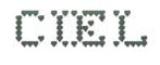 Ciel Ltd UK