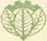 Iranian Tobacco Company Iran
