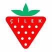 Cilek Istambul