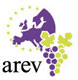 L'Europe de la civilisation de la vigne et du vin Châlons-en-Champagne