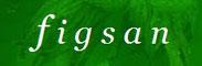 FIGSAN DIS TICARET LTD. STI