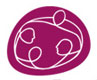 Community Foundation for Northern Ireland