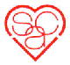 SEVDA CENAP AND MUSIC FOUNDATION
