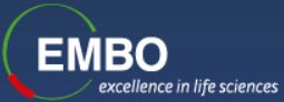 EMBO Heidelberg