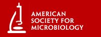American Society for Microbiology