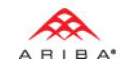 Ariba Inc. USA