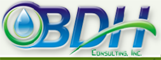 BDH Consulting Nemčka