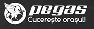 SC ATELIERELE PEGAS SRL