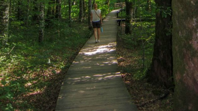 NP i prašuma Biogradska gora na Bjelasici