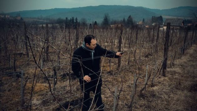 Janovi vinogradi