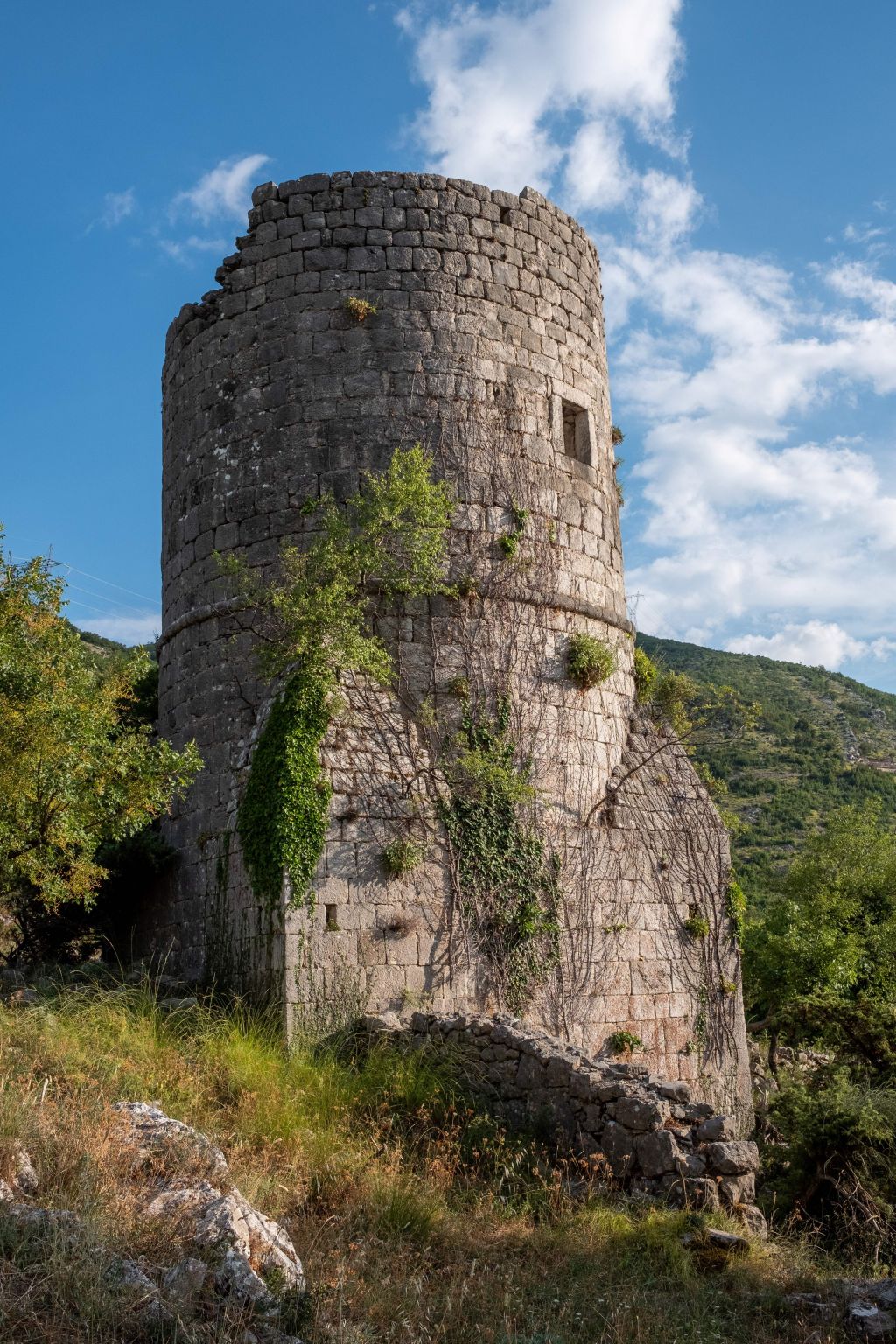 Brankovića kula Trebinje