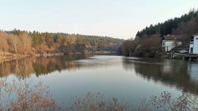 Bujanovačko jezero