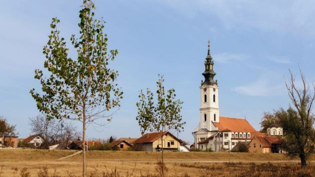 Crkva Svetih Vračeva Futog kod Novog Sada