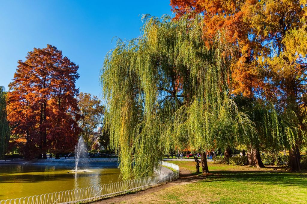 Dunavski park Novi Sad