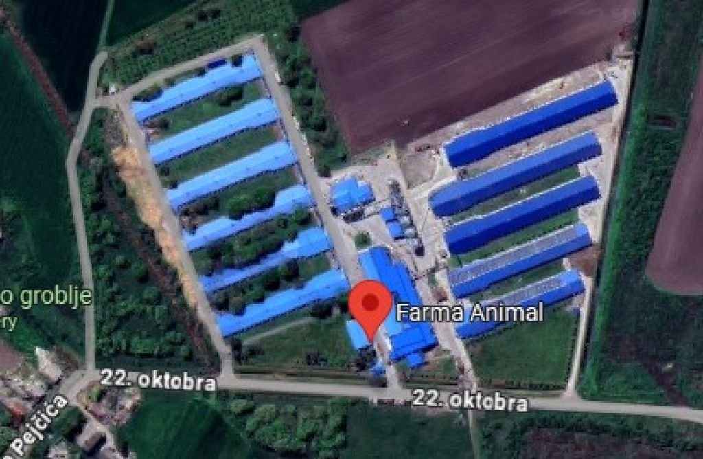 Farma za uzgoj koka nosilja Animal Commerce Kruščić Kula