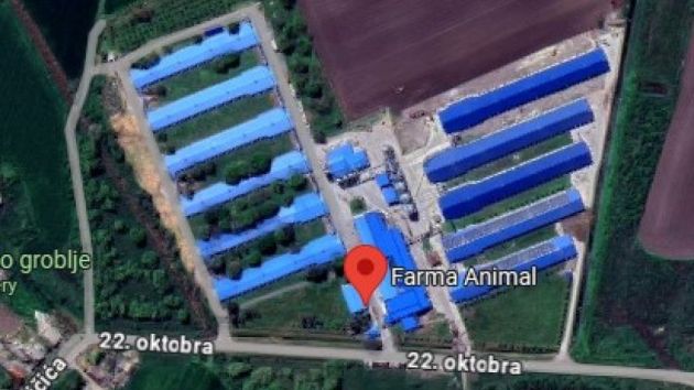 Farma za uzgoj koka nosilja Animal Commerce Kruščić Kula