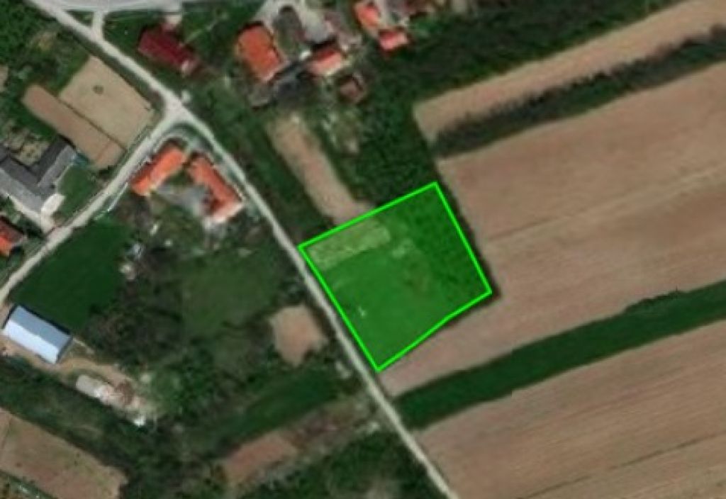 Farma krava Aleksić Žabari