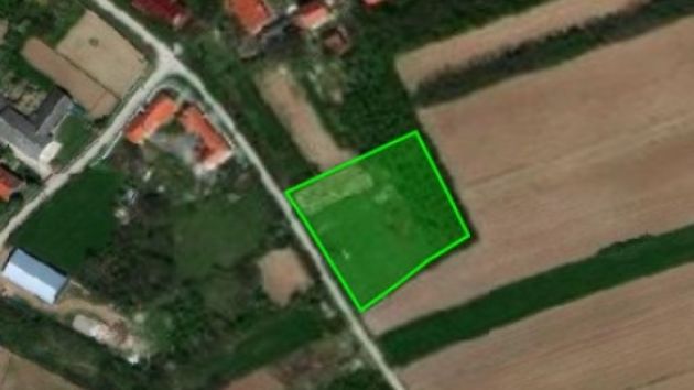 Farma krava Aleksić Žabari