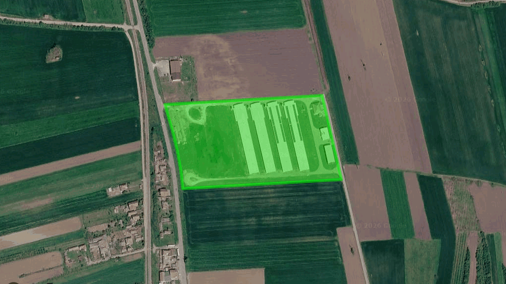 Farma pilića Cmana Miloševac Velika Plana