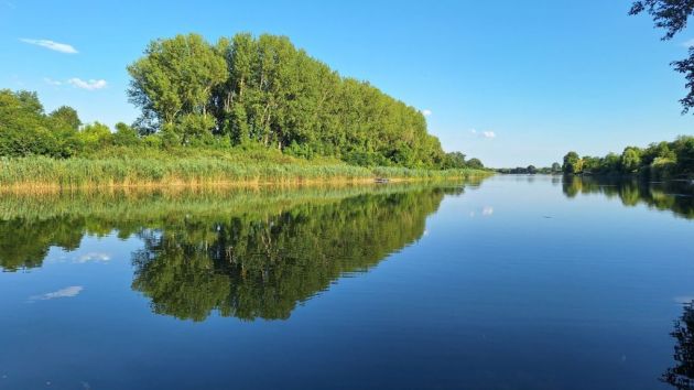 Specijalni rezervat prirode Gornje Podunavlje