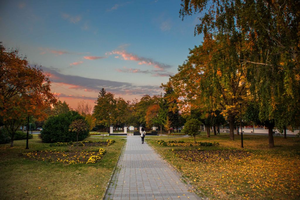 Gradski park Negotin