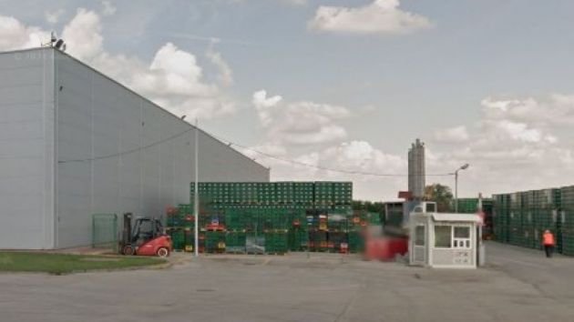 Pivara Heineken Novi Sad