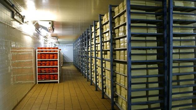 Projekat: Hladnjača Žuna trade Mešnik Čajetina