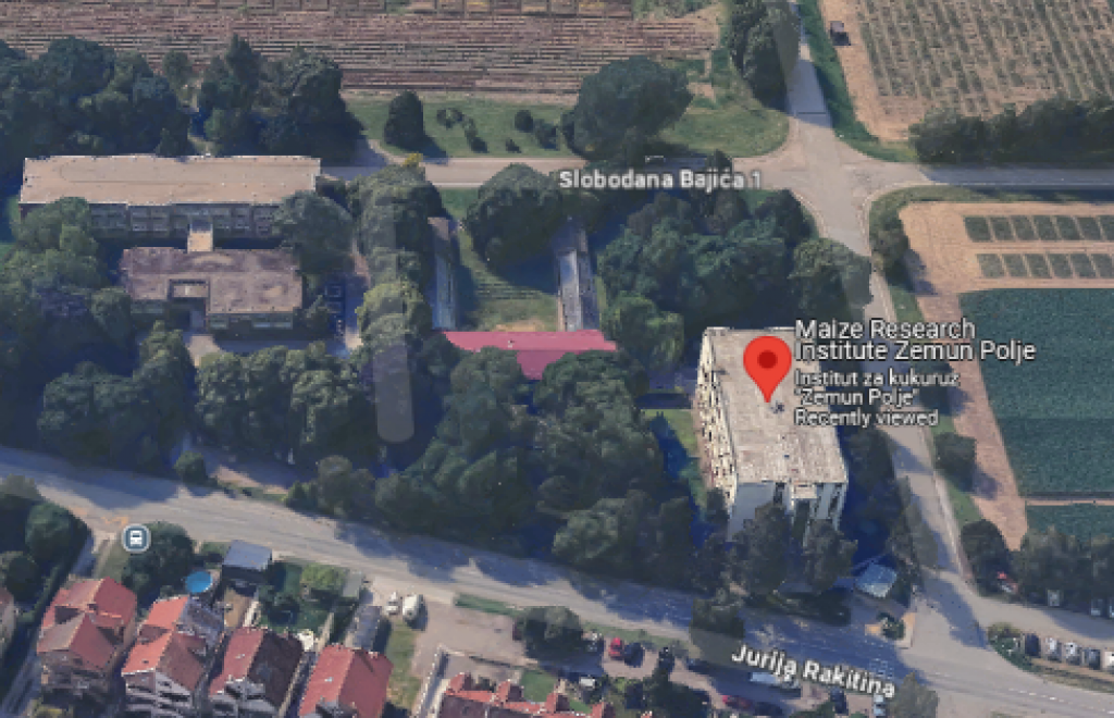 Institut za kukuruz Zemun Polje Beograd