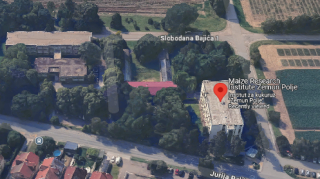 Institut za kukuruz Zemun Polje Beograd