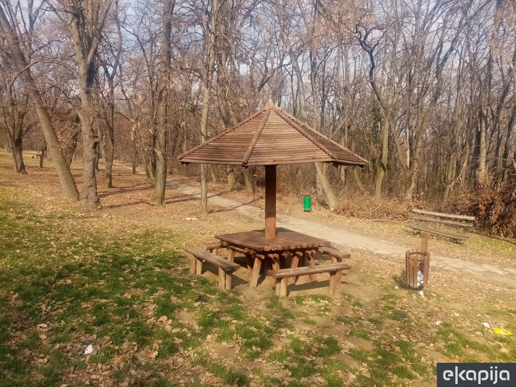 park šuma Košutnjak Beograd