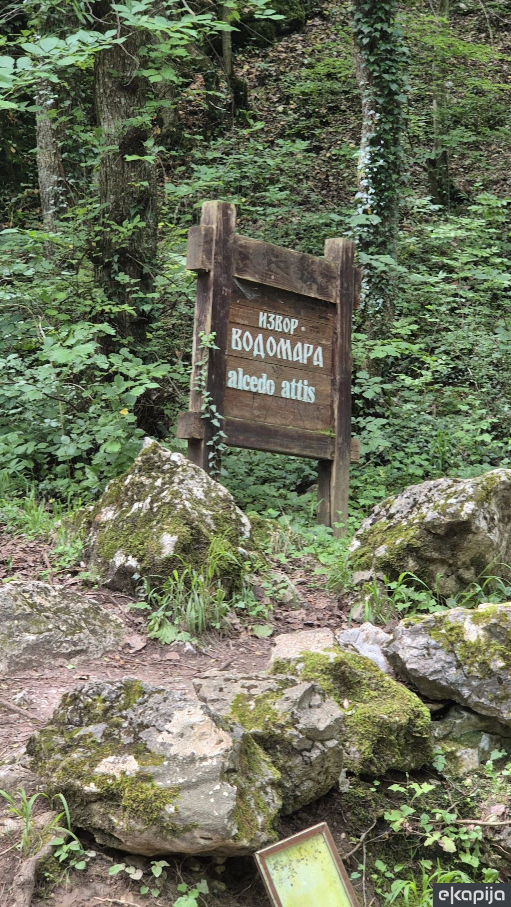 Izvor Vodomara Sokobanja