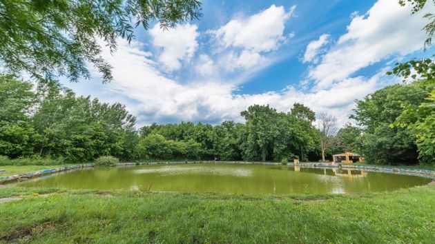 jezero Damaskin Hajdučica Plandište