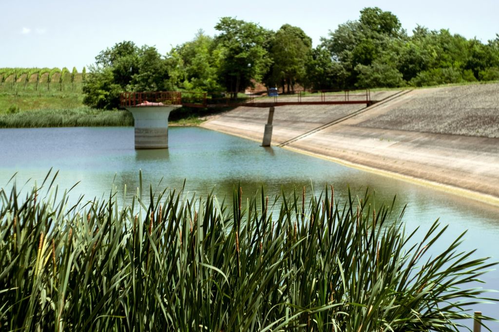 jezero Moharač kod Šida