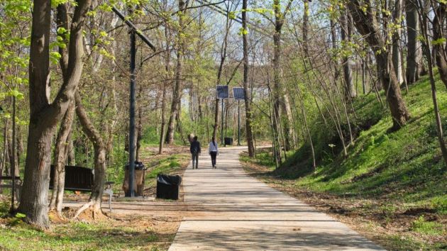 Kamenički park Sremska Kamenica