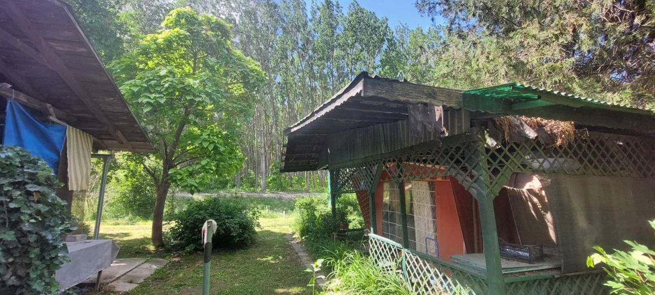 Kamp Jabukov cvet Banatski Brestovac Pančevo