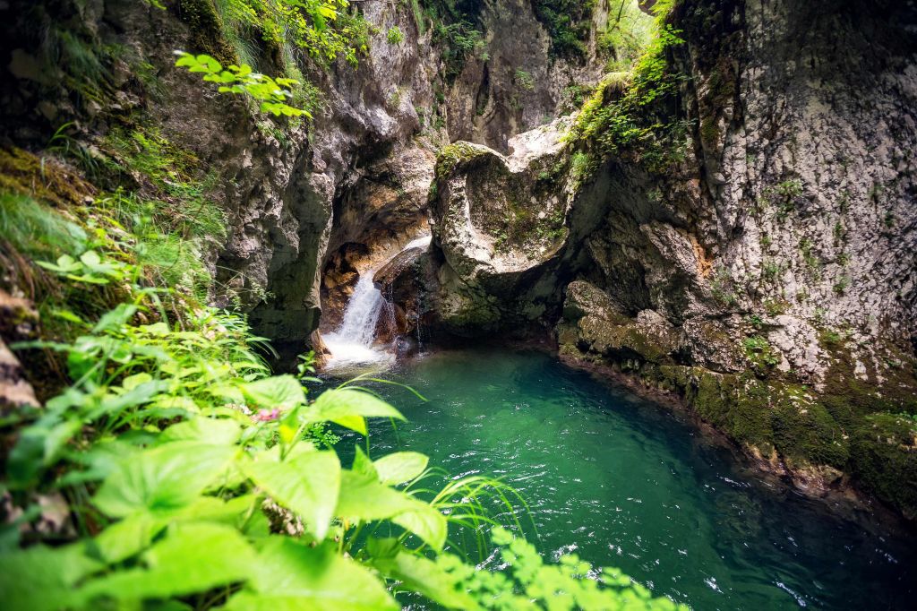 Park prirode Dragišnica i Komarnica kod Šavnika