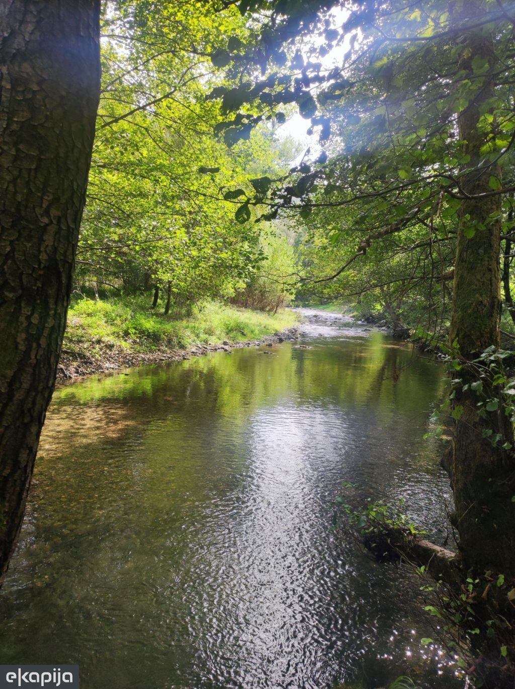 klisura reke Gradac kod Valjeva