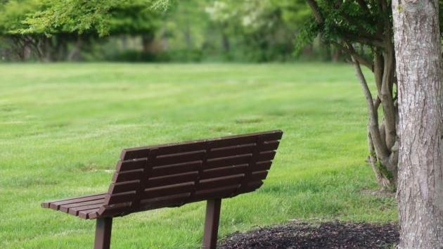 Gradski park u Omladinskoj ulici Gradiška