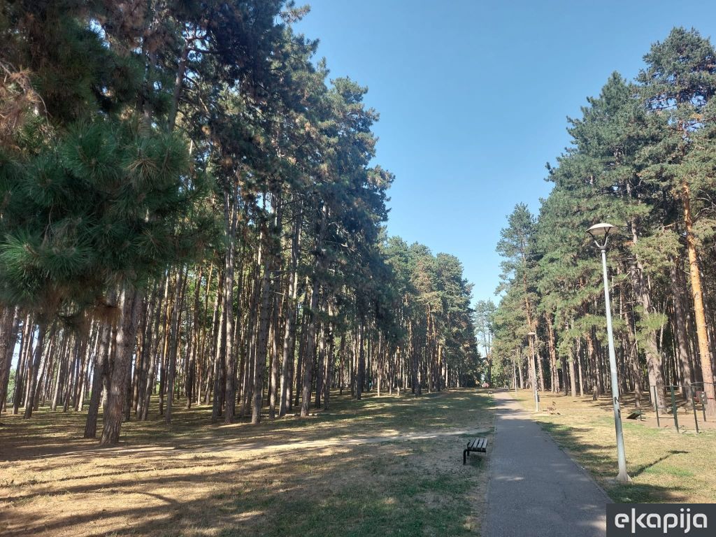 Letnjikovačka šuma Šabac