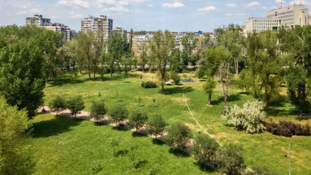 Limanski park u Novom Sadu