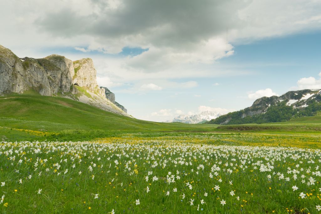 planina Lukavica kod Nikšića