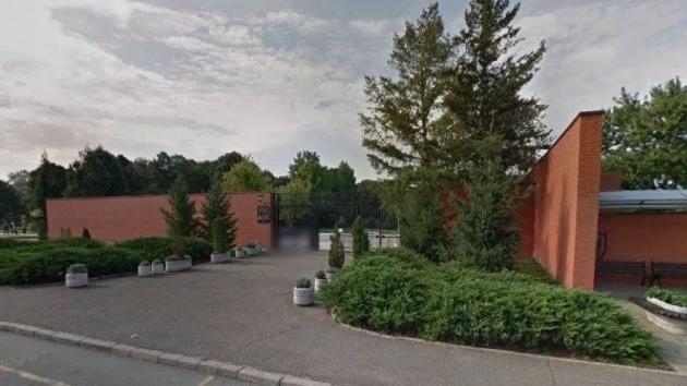Gradsko groblje Novi Sad