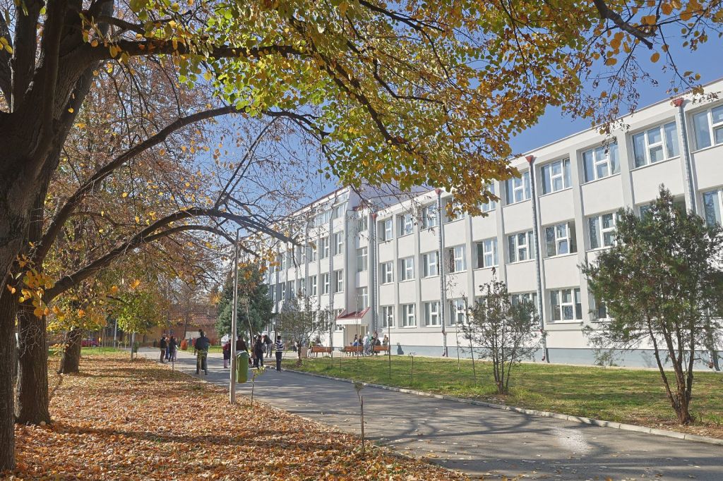 Osnovna škola Branko Radičević Bujanovac