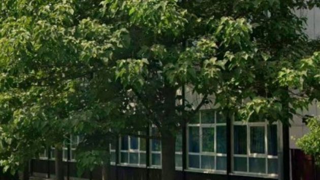 Osnovna škola Treći oktobar Lokve Alibunar