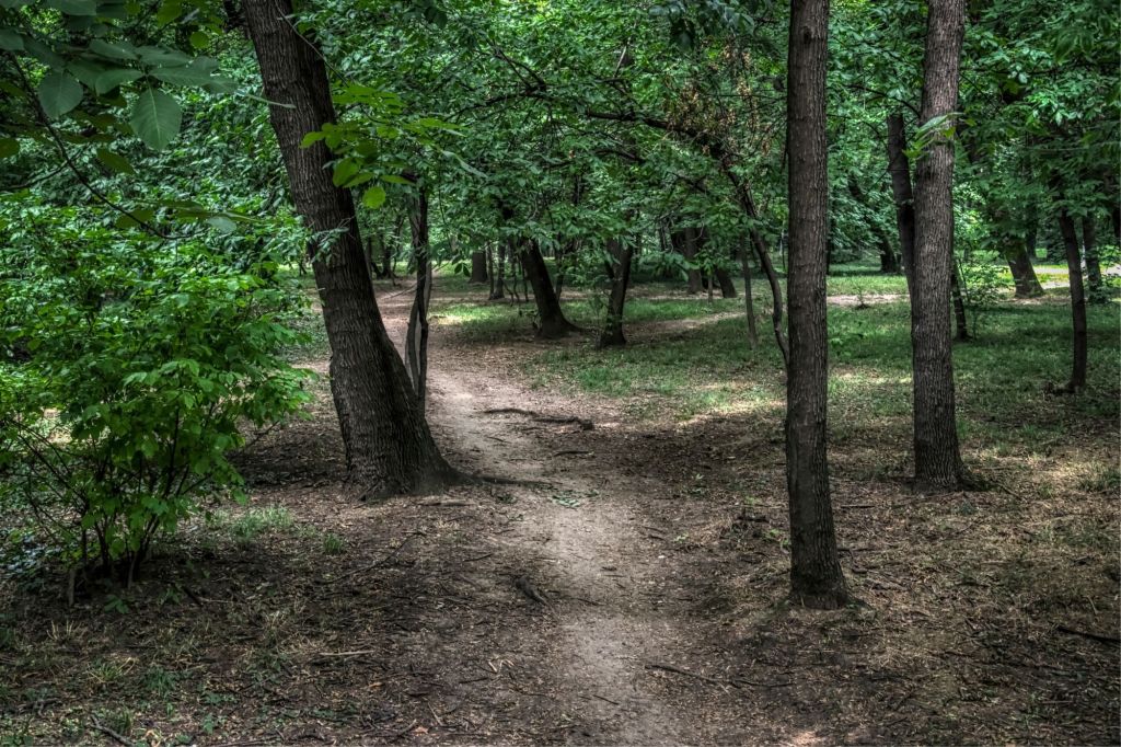 Park šuma i naselje Šumice Voždovac