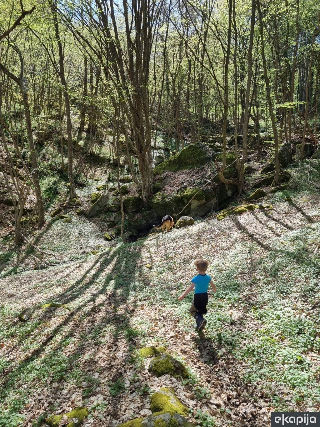 Pavlovića izvor Borački krš Knić